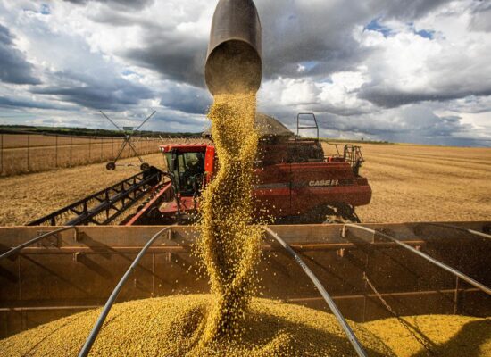 Comércio exterior do agronegócio tem saldo de US$ 9,3 bi em fevereiro