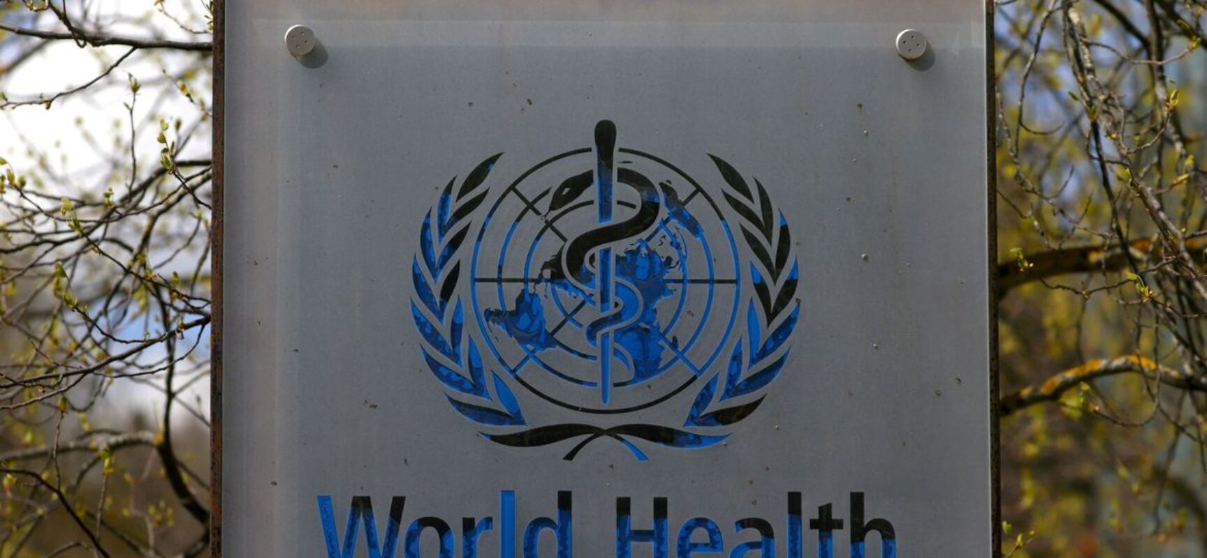 OMS: covid-19 prolongada atinge 10% a 20% dos infectados