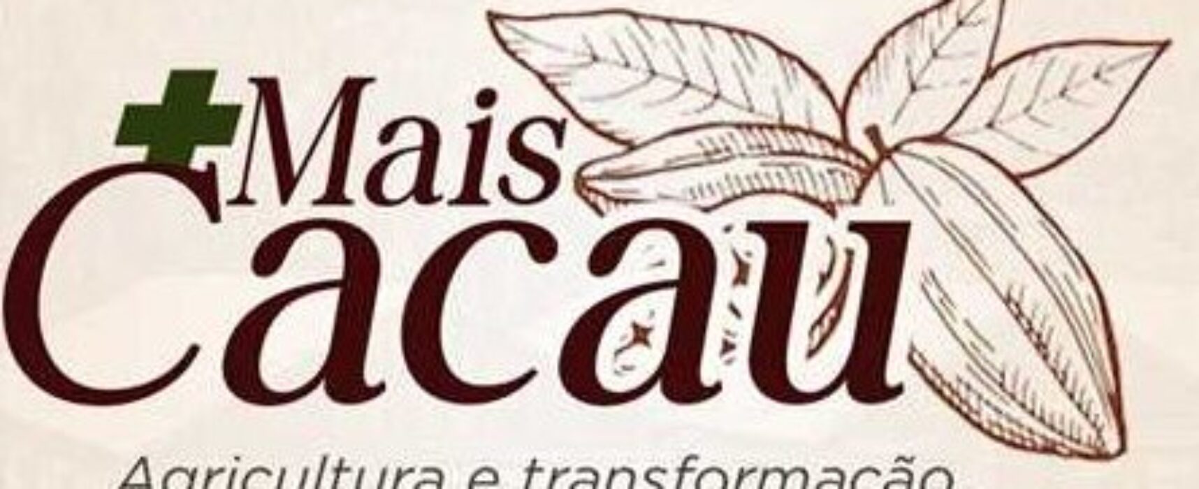 Prefeitura de Ilhéus lança projeto ‘Produzir Mais Cacau’ para fomento da lavoura do município