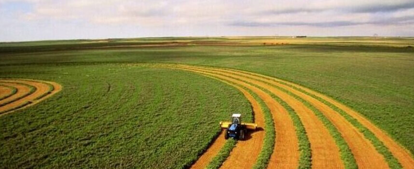 BNB destina R＄ 2 bilhões para agronegócios na Bahia