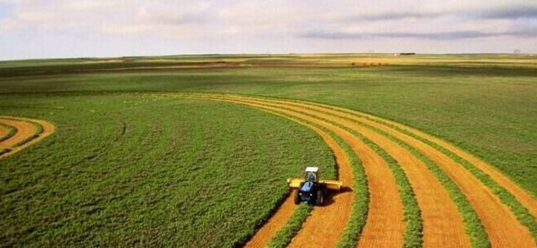 BNB destina R＄ 2 bilhões para agronegócios na Bahia