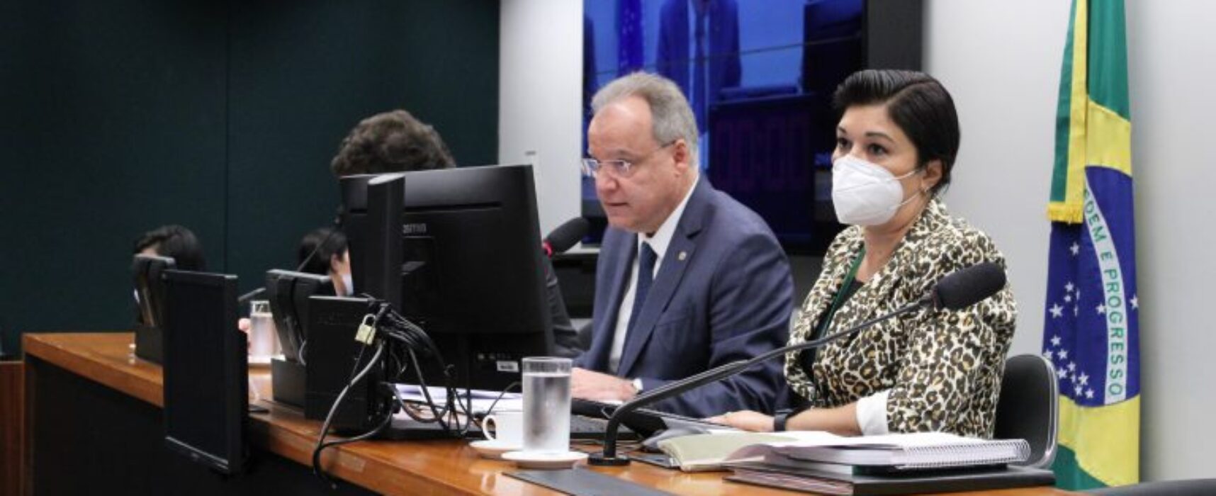 Especialistas apontam necessidade de menos partidos no regime semipresidencialista