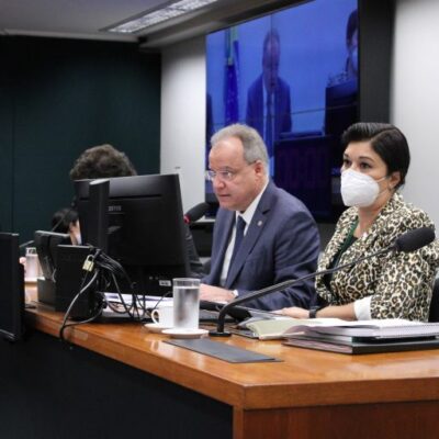 Especialistas apontam necessidade de menos partidos no regime semipresidencialista