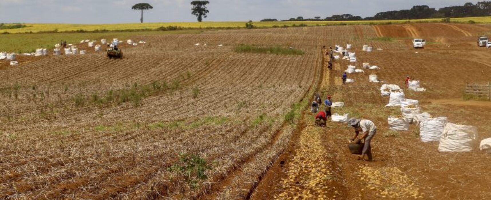Governo edita medida provisória para liberar R$ 1,2 bilhão a agricultores atingidos pela seca