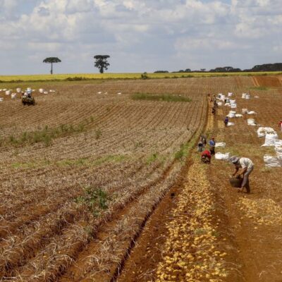 Governo edita medida provisória para liberar R$ 1,2 bilhão a agricultores atingidos pela seca