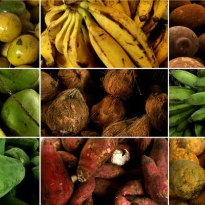 Ilhéus é destaque no Programa Alimenta Brasil; iniciativa fortalece atividade do pequeno agricultor