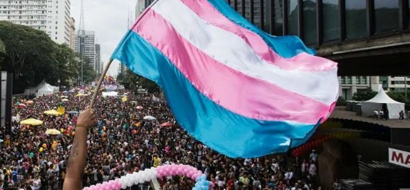 STJ conclui que Lei Maria da Penha é válida para mulheres trans