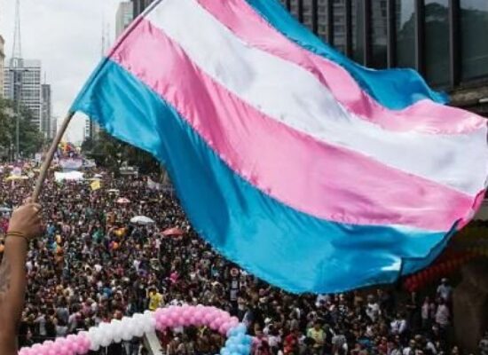 STJ conclui que Lei Maria da Penha é válida para mulheres trans