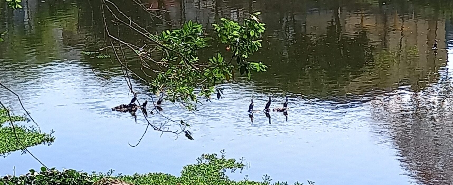 Começam segunda-feira as atividades da Semana do Meio Ambiente em Itabuna