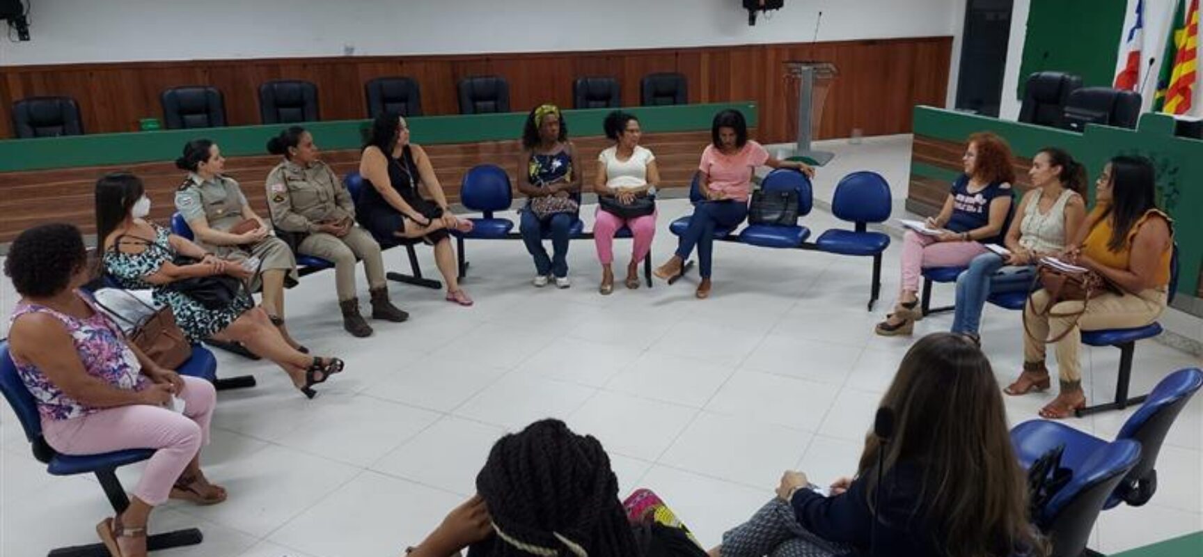 Frente Parlamentar da Mulher discute ações para este ano