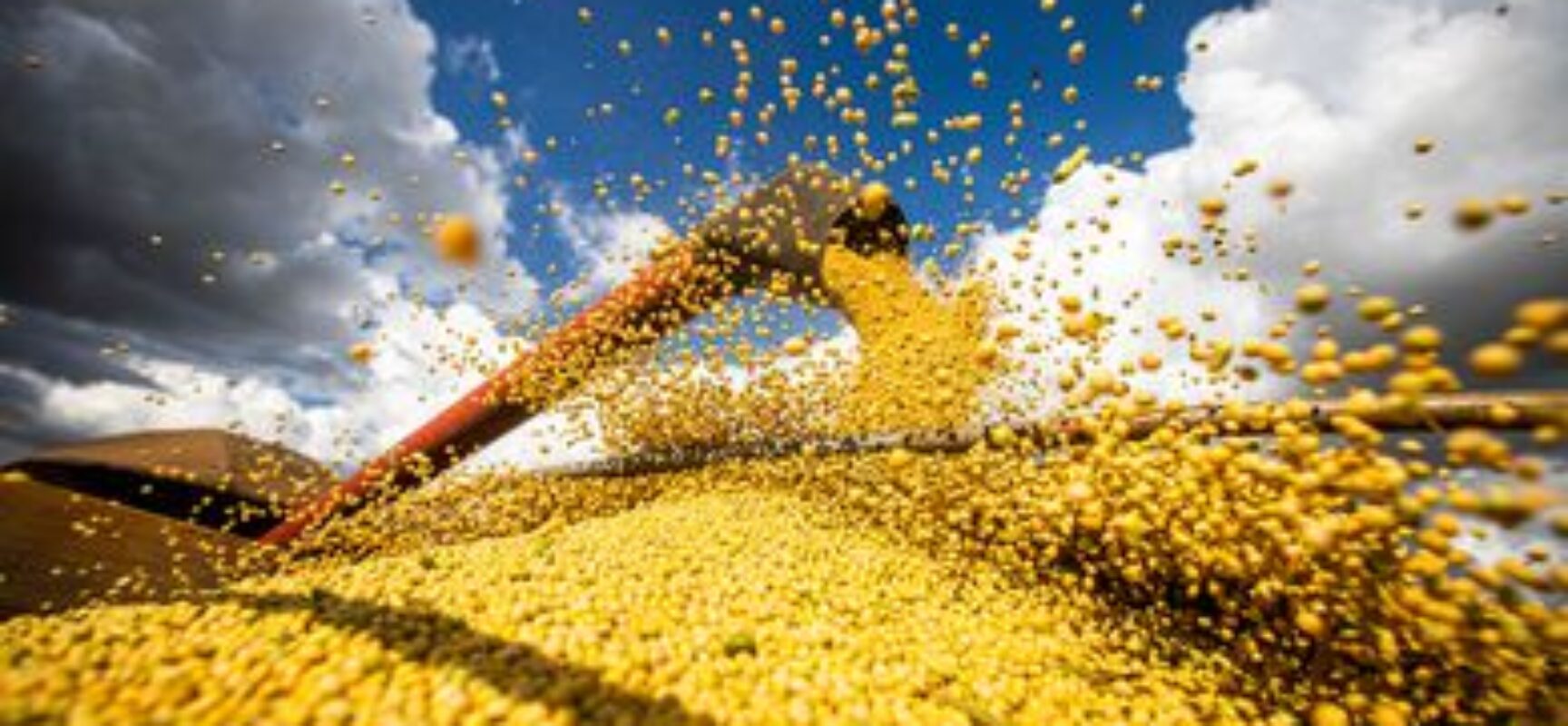 IBGE estima safra recorde de 261,5 milhões de toneladas em 2022