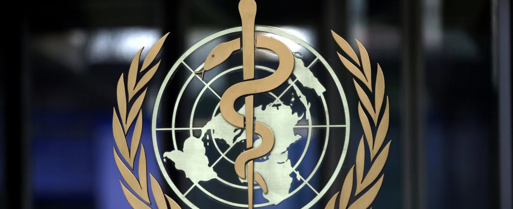 Membros da OMS aprovam resolução contra a Rússia