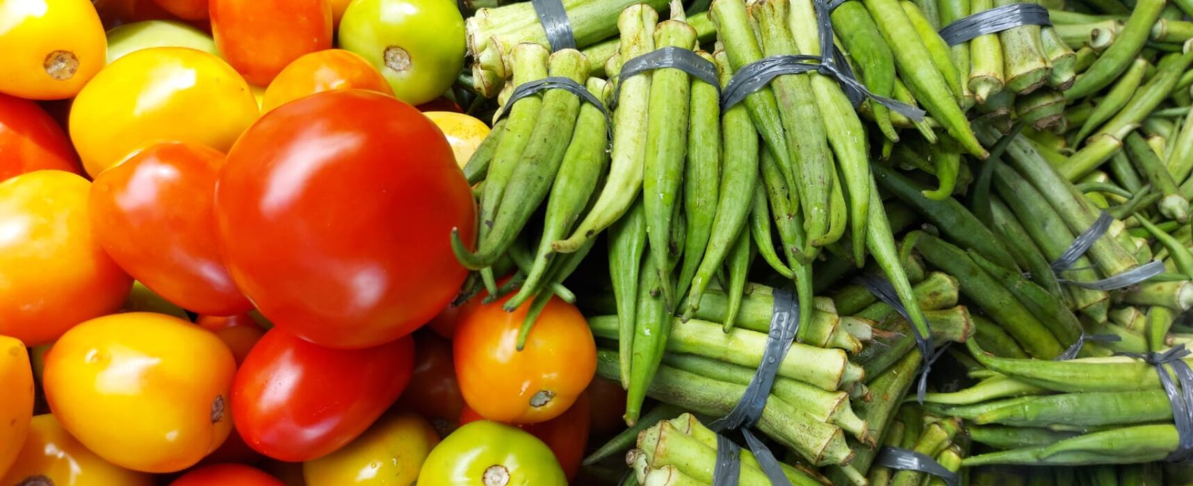 Produtores da Agricultura Familiar em Itabuna fornecerão alimentos para a merenda escolar