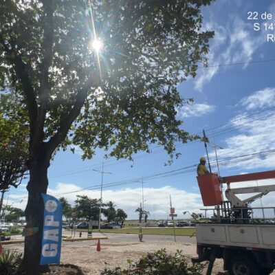 Ação do GAP impede poda de árvore considerada indevida na praça da Catedral em Ilhéus
