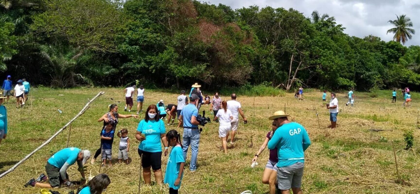 GAP faz novo plantio de árvores durante festejos do aniversário de Ilhéus