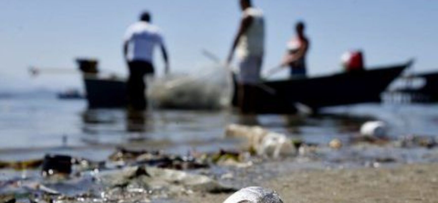 Mais de 12 mil licenças de pescadores profissionais são suspensas