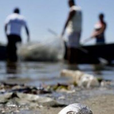 Mais de 12 mil licenças de pescadores profissionais são suspensas
