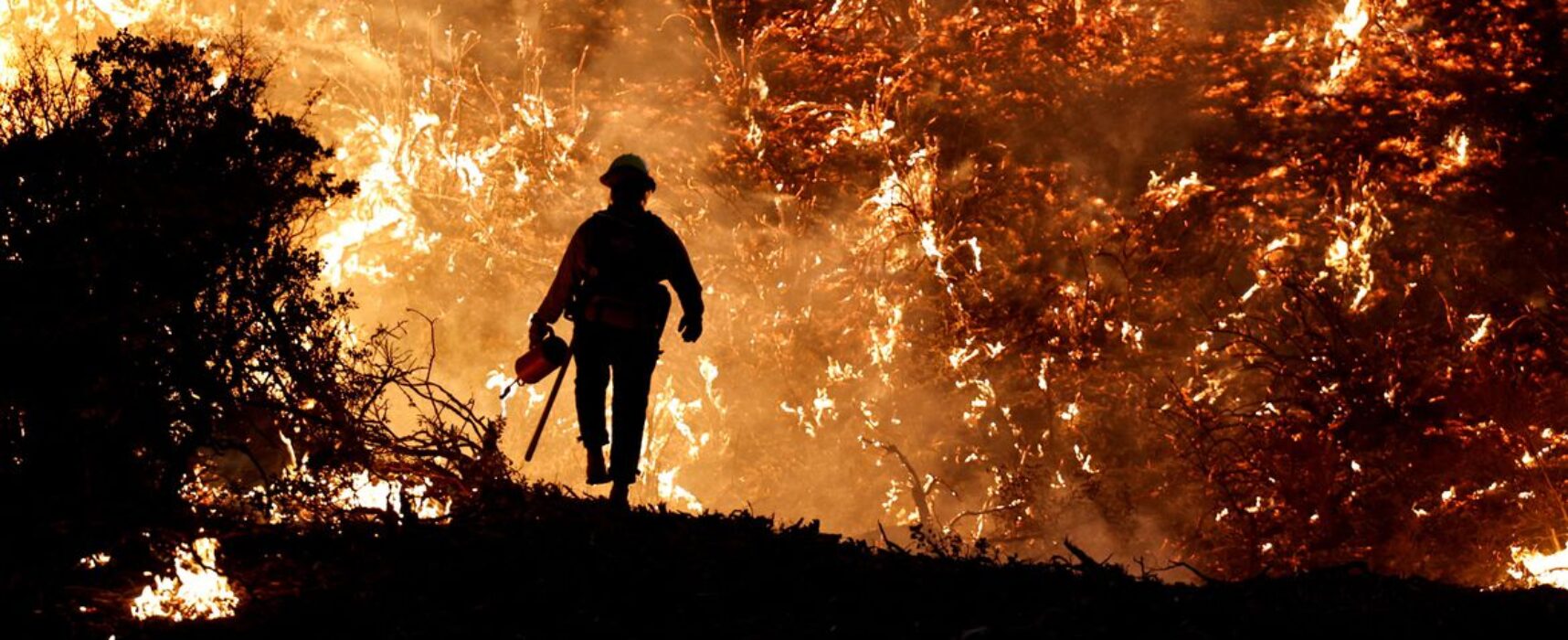 Calor e incêndios colocam Portugal em estado de contingência