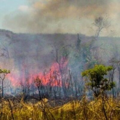 Com 2 mil focos, Bahia é quinto estado com maior número de queimadas desde janeiro