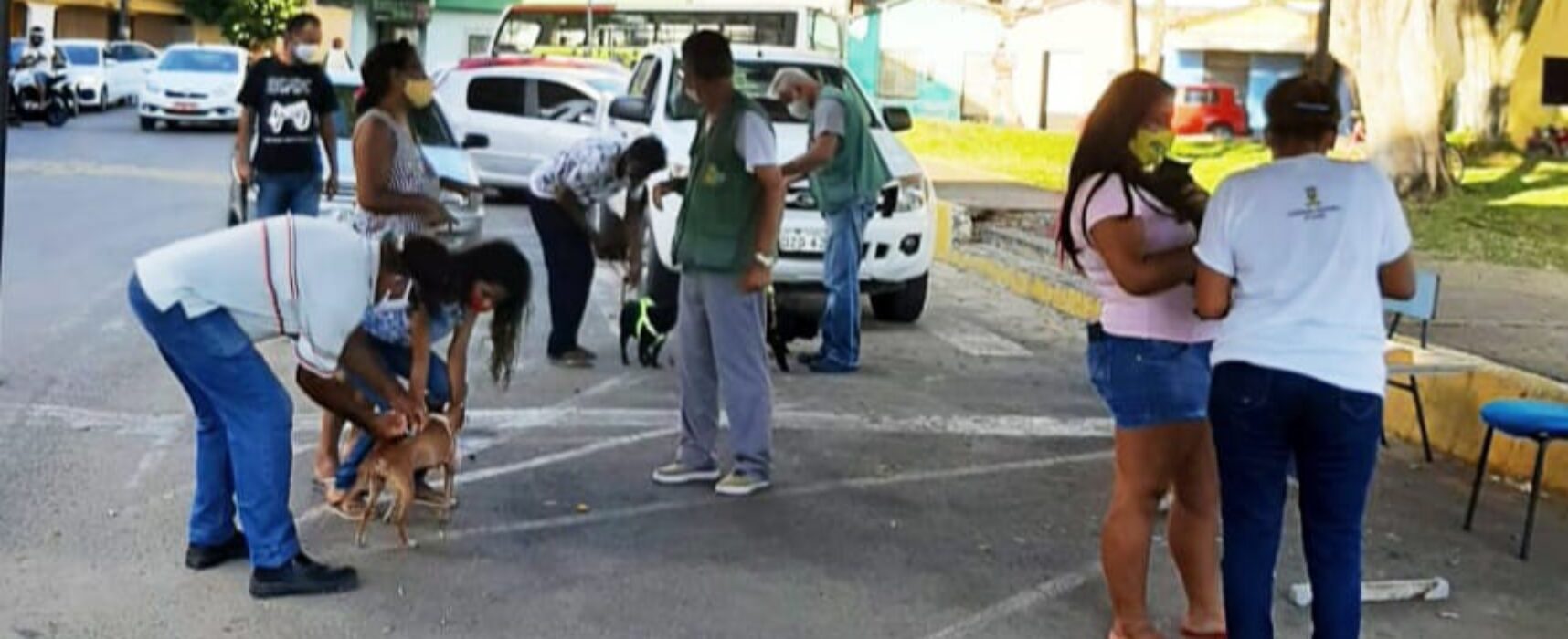 Prefeitura começa a preparar a Campanha de Vacinação Antirrábica em Itabuna