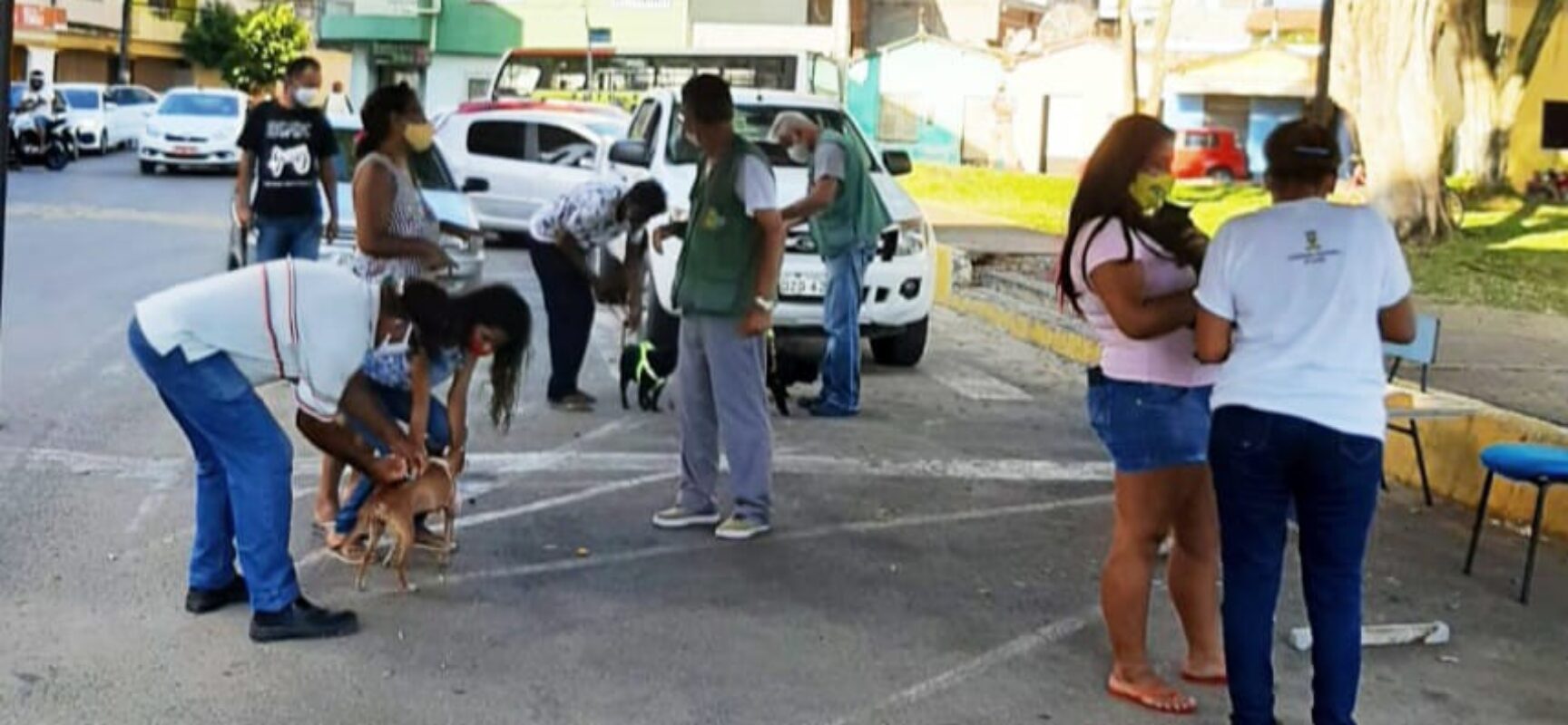 Prefeitura começa a preparar a Campanha de Vacinação Antirrábica em Itabuna