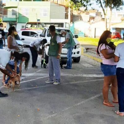 Prefeitura começa a preparar a Campanha de Vacinação Antirrábica em Itabuna