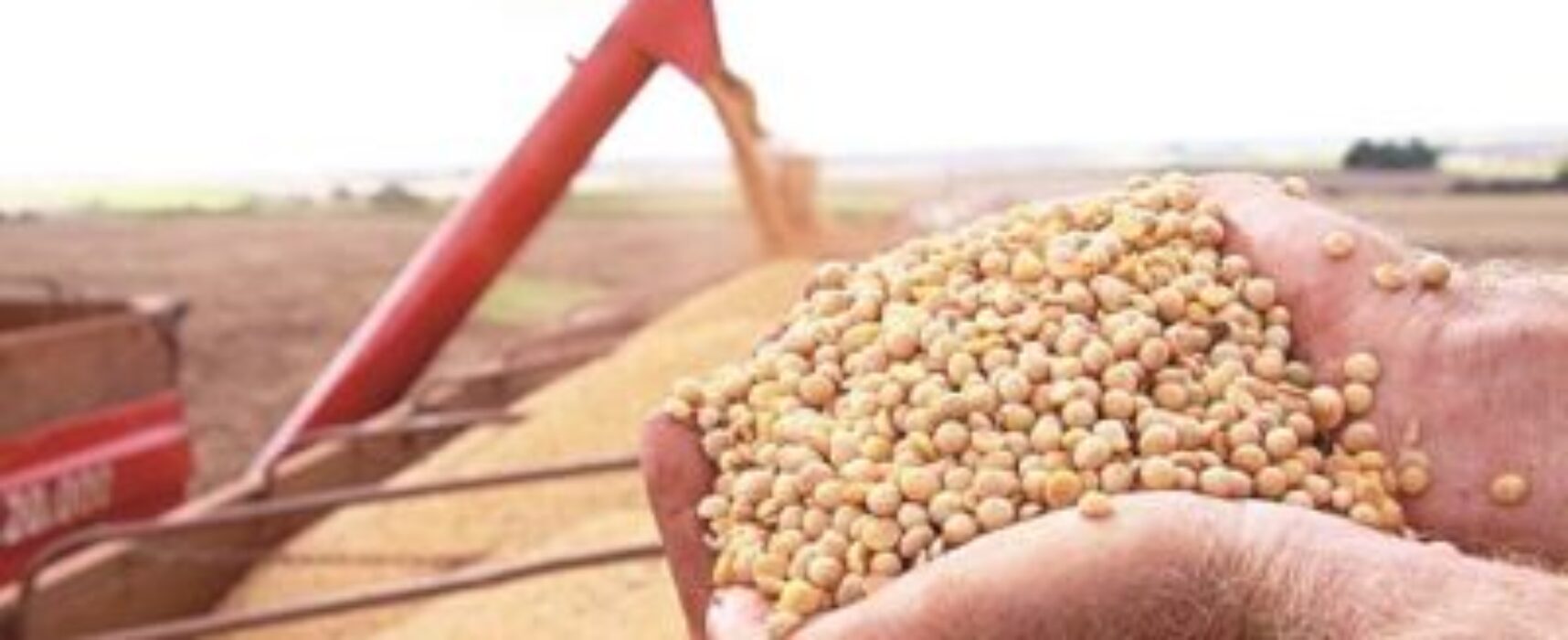 Produção baiana de grãos está estimada em 11,36 milhões de toneladas em 2022