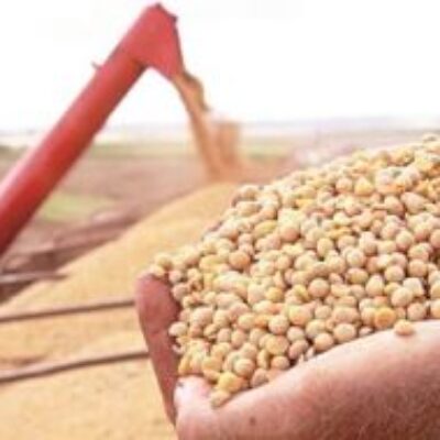 Produção baiana de grãos está estimada em 11,36 milhões de toneladas em 2022