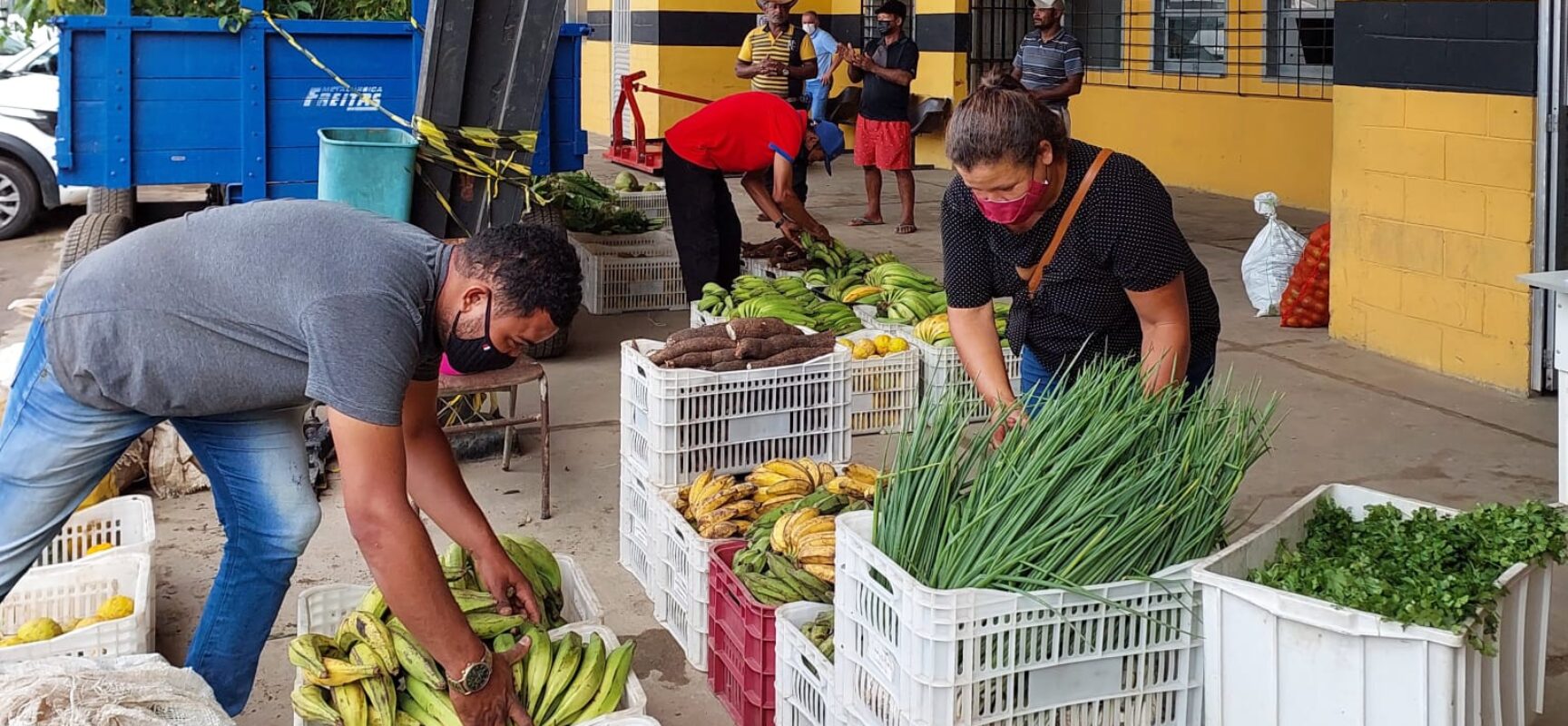 Programa Alimenta Brasil recebeu  meia tonelada de alimentos das Associações de Agricultores de Itabuna