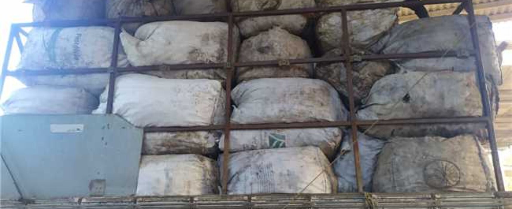 Sustentabilidade: 2,5 toneladas de materiais recicláveis são recolhidas durante Viva Ilhéus