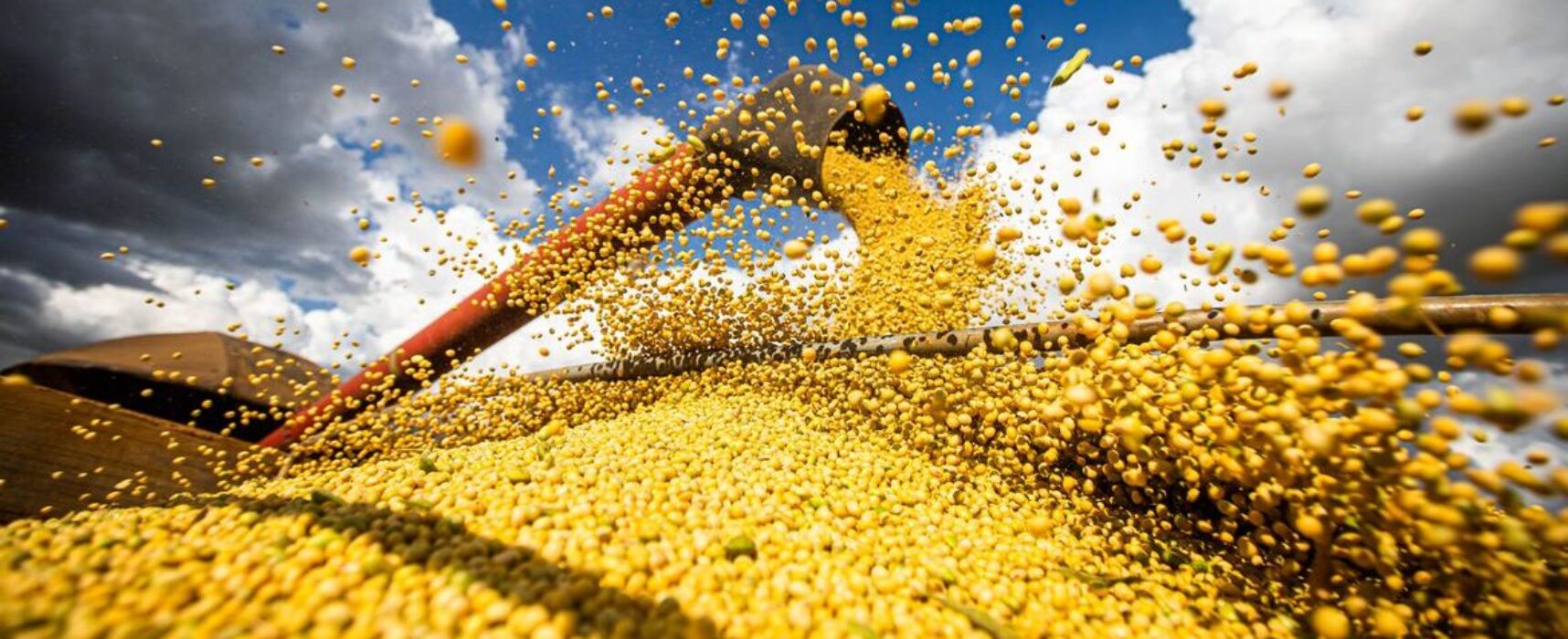 IBGE aponta safra recorde de grãos em 2025