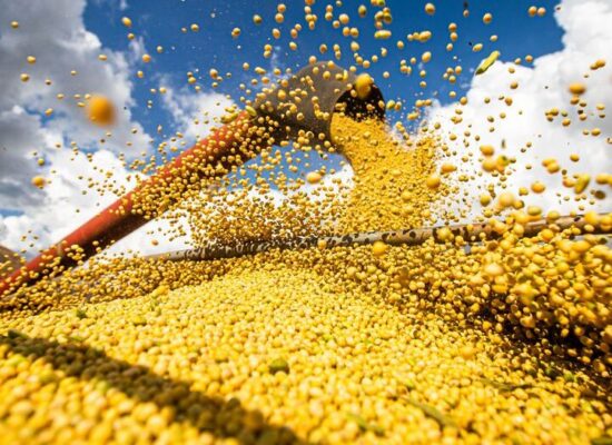 Ucrânia tem milhões de toneladas de grãos sem local para armazenamento