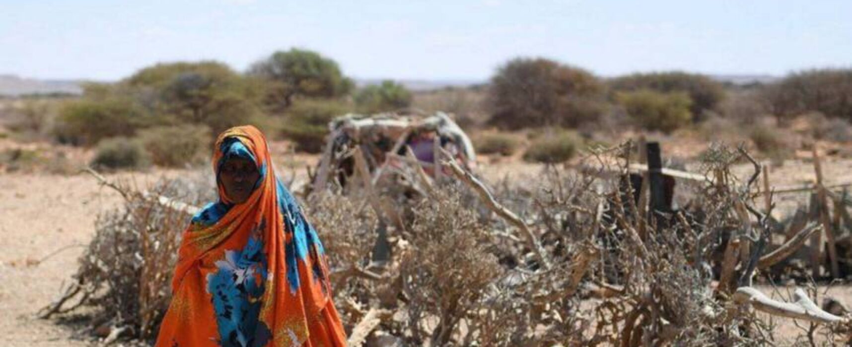 ONU alerta que 22 milhões de pessoas correm risco de morrer de fome em região do continente africano