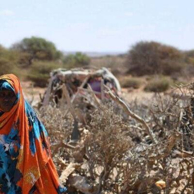 ONU alerta que 22 milhões de pessoas correm risco de morrer de fome em região do continente africano