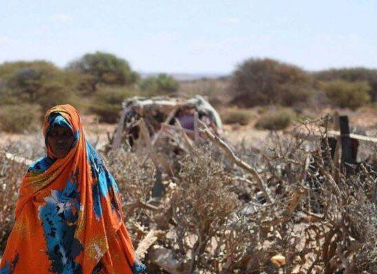 ONU alerta que 22 milhões de pessoas correm risco de morrer de fome em região do continente africano