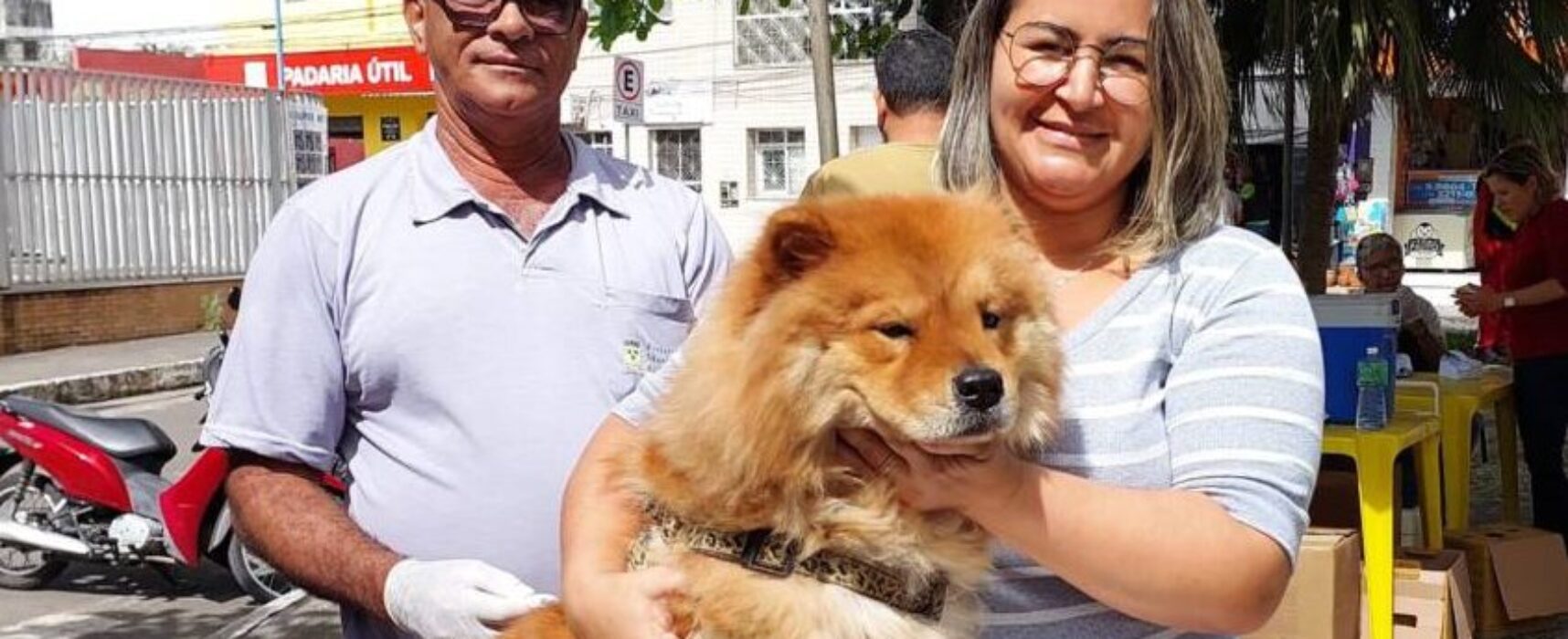 Prefeitura de Itabuna já vacinou 11 mil cães e gatos contra a raiva