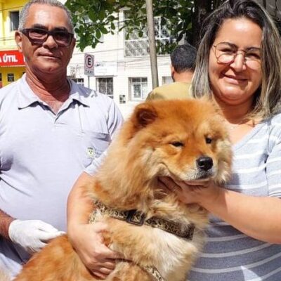 Prefeitura de Itabuna já vacinou 11 mil cães e gatos contra a raiva