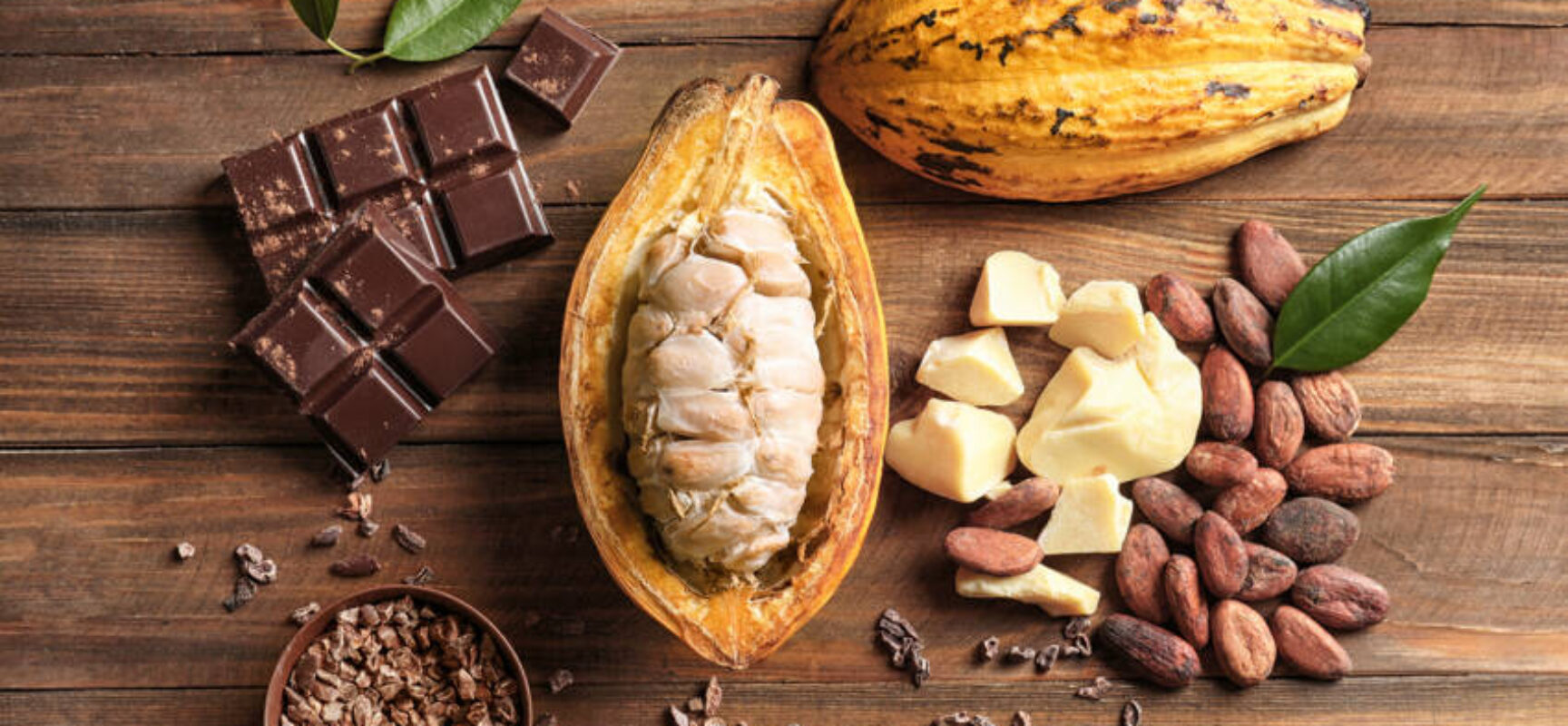 Vassoura-de-bruxa reduziu produção de cacau durante décadas, mas ciência gerou soluções para impedir alta no preço do chocolate