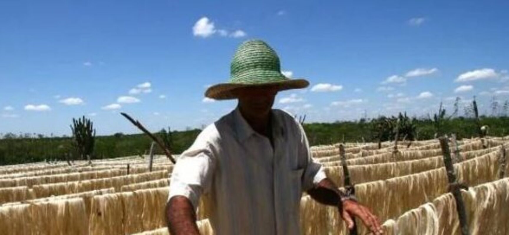 Empresa baiana é condenada a pagar R$ 1 milhão por uso de material produzido com trabalho escravo