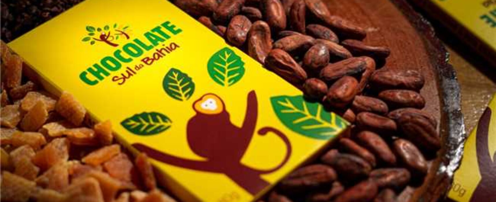 Prefeitura de Ilhéus lança Programa de Qualificação para pequenos produtores de cacau