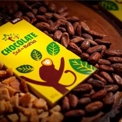 Prefeitura de Ilhéus lança Programa de Qualificação para pequenos produtores de cacau