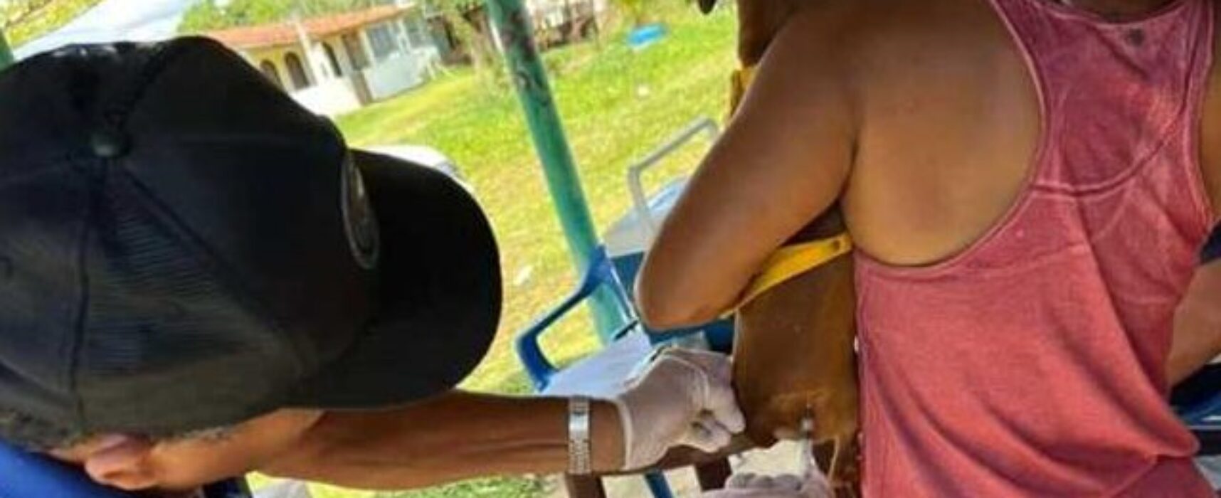 Prefeitura de Ilhéus promove Dia D da campanha de vacinação antirrábica neste sábado (10)
