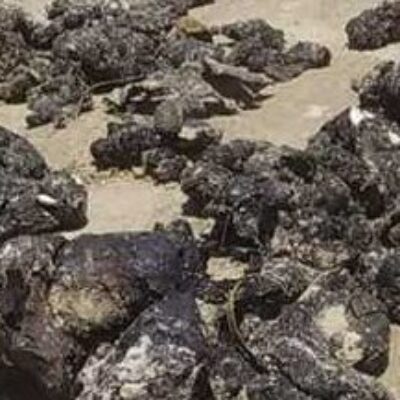 Prefeitura de Ilhéus e Marinha monitoram fragmentos de óleo encontrados na Praia da Ponta do Ramo
