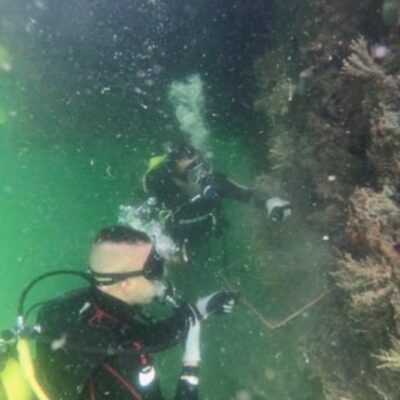 Zona turística Baía de Todos-os-Santos ganha centro de pesquisa no combate ao coral-sol