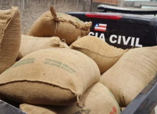Polícia recupera 780 kg de café em grãos furtados