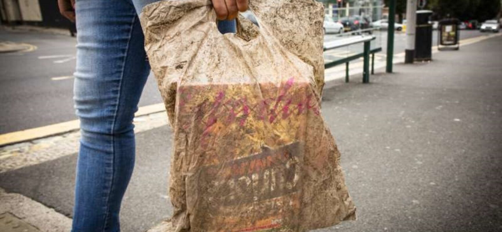 Municípios podem exigir utilização de sacolas biodegradáveis