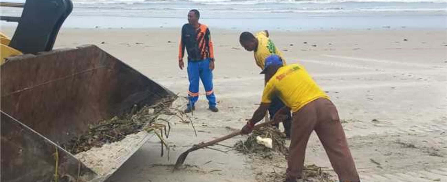 Prefeitura de Ilhéus realiza limpeza das praias para retirada de baronesas