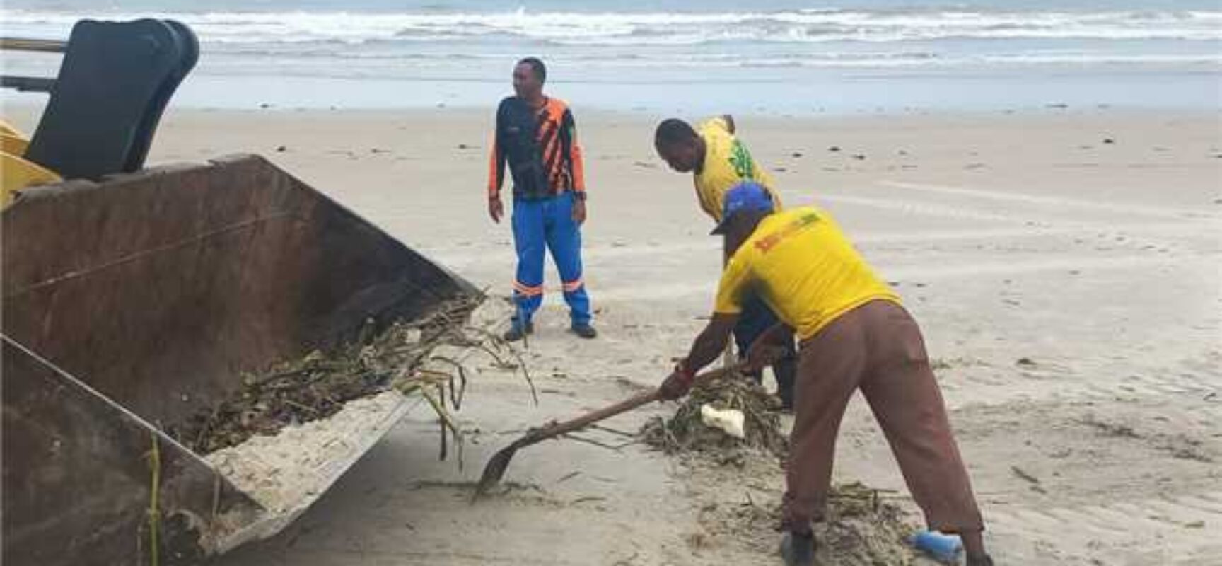 Prefeitura de Ilhéus realiza limpeza das praias para retirada de baronesas