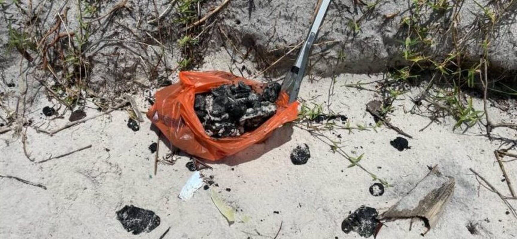 192 km de praias no Sul da Bahia são impactas pelo óleo, diz relatório