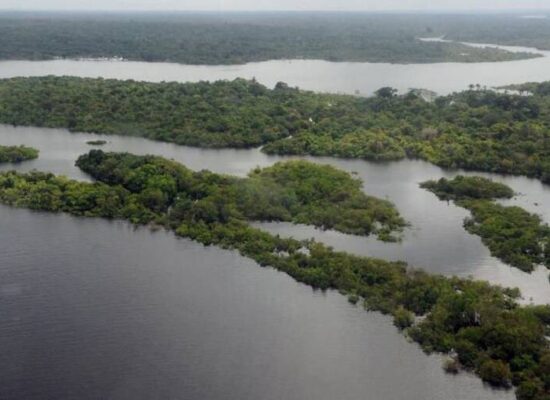 Preservação da Amazônia é prioridade do governo eleito na COP27